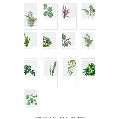 2024 Wall Calendar, Greenery Plants